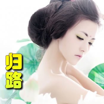 游龙戏凤第二部:归路